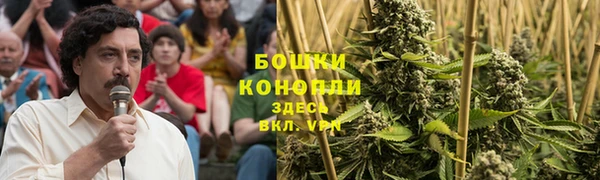 винт Аркадак
